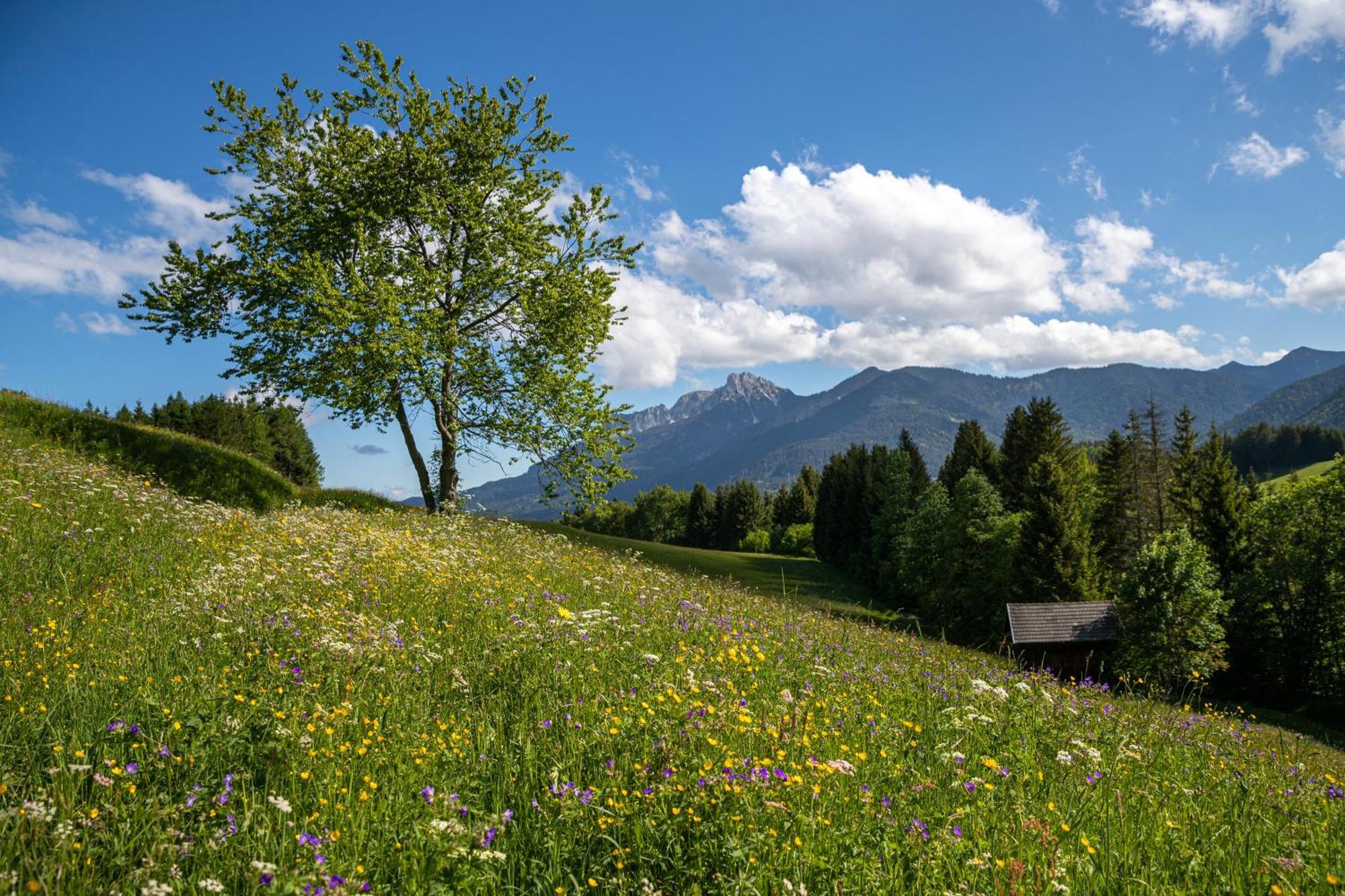 Hotel Krone Tirol Reutte Exterior photo